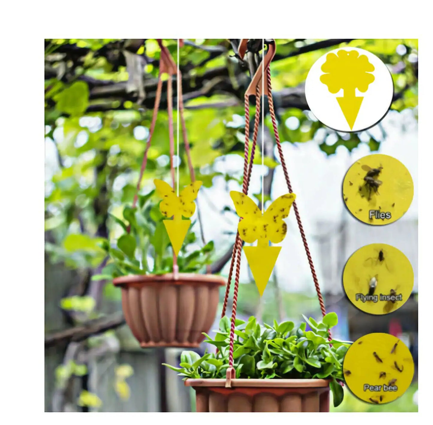 10-30PCS Yellow Insect Traps