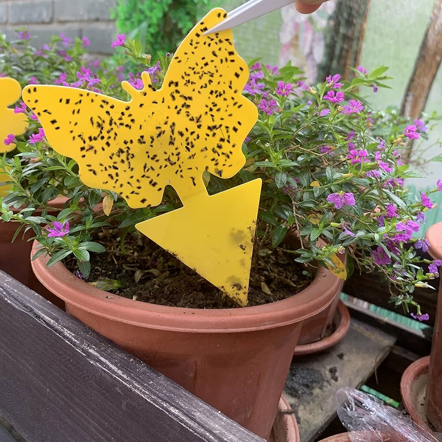 10-30PCS Yellow Insect Traps