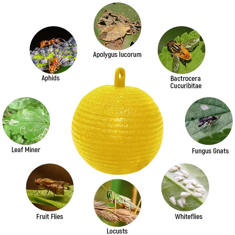 10-30PCS Yellow Insect Traps