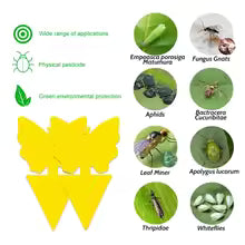 10-30PCS Yellow Insect Traps